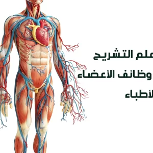 دورة علم التشريح وعلم وظائف الأعضاء لغير الأطباء